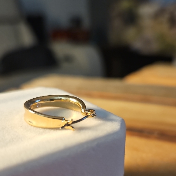 Elegant Gold Hoop Earrings - Picture 10 of 10